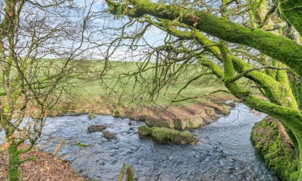 3 Bed in Davidstow 9