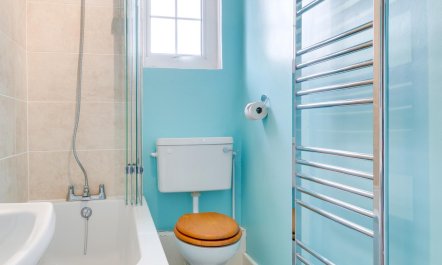 3 Bed in Littlestone 7