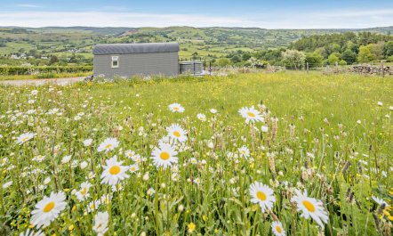 1 Bed in Llangadfan 1