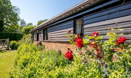 1 Bed in Saxmundham 8