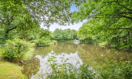 1 Bed in Kilkhampton 8