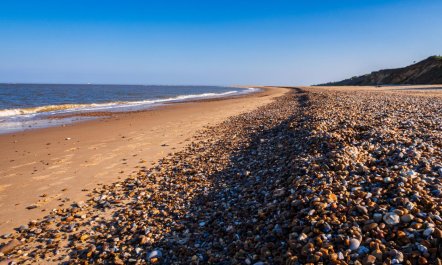 2 Bed in Kessingland 8