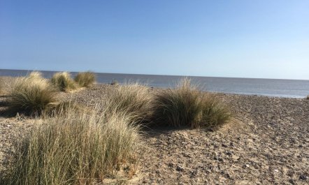 2 Bed in Kessingland 9