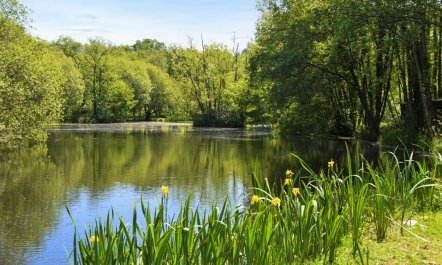 4 Bed in Two Waters Foot 1