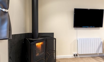 1 Bed in Cynwyl Elfed 4