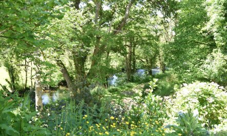 3 Bed in Two Waters Foot 9