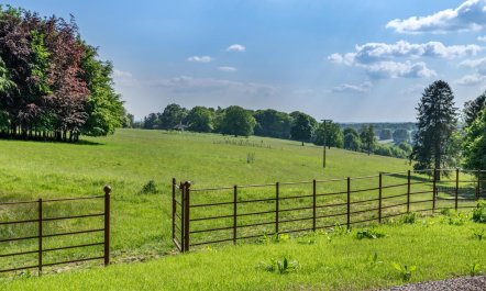 1 Bed in Tollard Royal 5