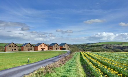 4 Bed in Winnards Perch 1