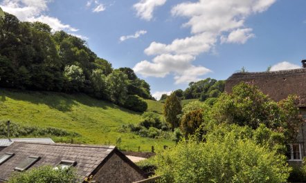 3 Bed in Branscombe 1