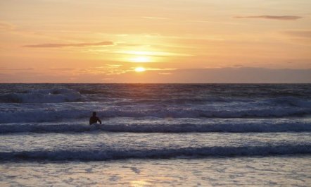 3 Bed in Croyde 2