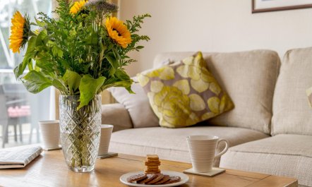 3 Bed in Christchurch 0