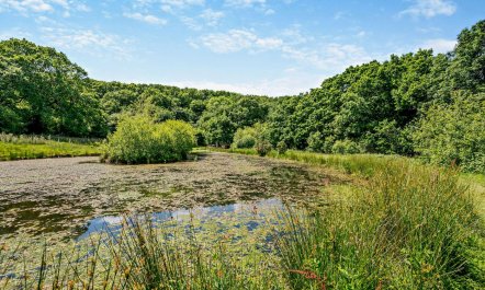 1 Bed in Treneglos 3