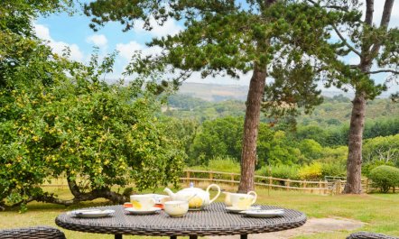 1 Bed in Tedburn St. Mary