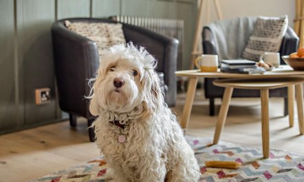 2 Bed in Ilfracombe 5