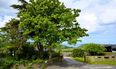 3 Bed in St. Gennys 6