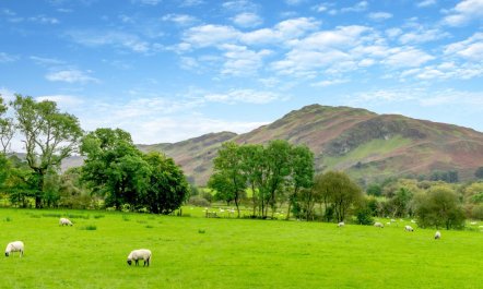 1 Bed in Threlkeld 9