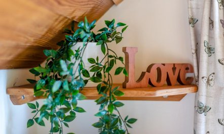 1 Bed in Kirkby Mallory 7