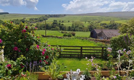 3 Bed in Horsehouse 9