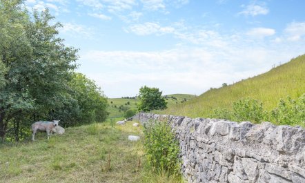 3 Bed in Earl Sterndale 5