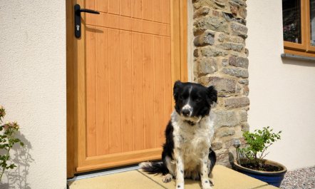 1 Bed in Morwenstow 3