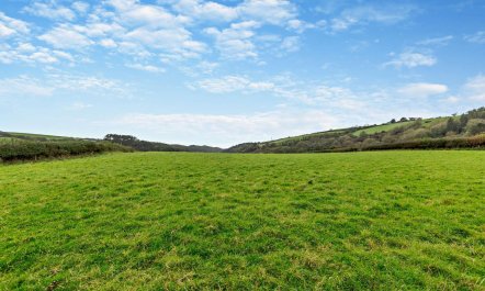 1 Bed in Morwenstow 4