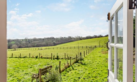 1 Bed in St. Dominick 3