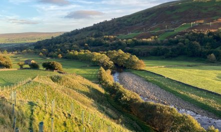 3 Bed in Gunnerside 4