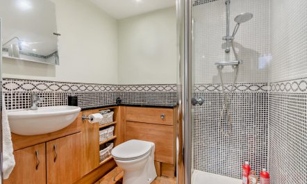 3 Bed in Lea Bridge 8