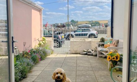 3 Bed in Appledore 3