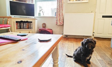 2 Bed in Castleton 7