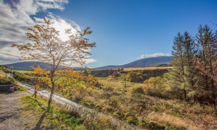 1 Bed in Milltown Of Edinvillie 3