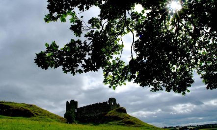 2 Bed in Inniskeen 6