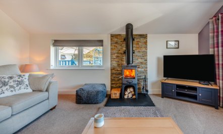 3 Bed in St. Dogmaels 4