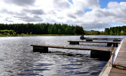 3 Bed in Drumkeeran 9