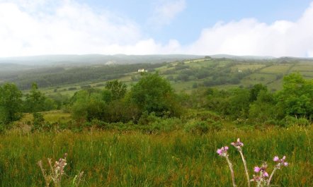 3 Bed in Drumkeeran 8