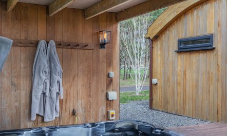 4 Bed in Llansanffraid 5