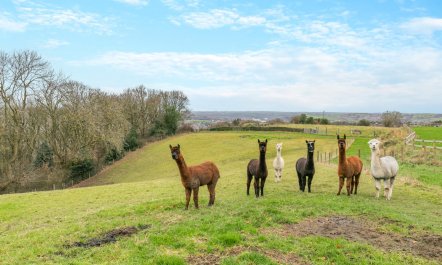 3 Bed in Huddersfield 2