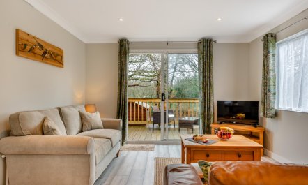 1 Bed in Beaworthy 9