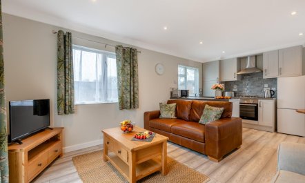 1 Bed in Beaworthy 4