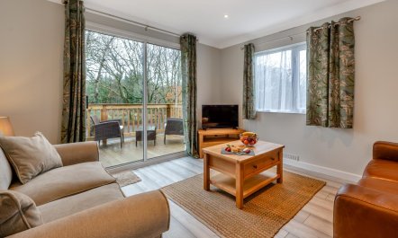 1 Bed in Beaworthy 5