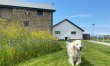 1 Bed in Abbotsham 3