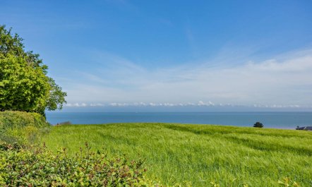 3 Bed in Blue Anchor 2