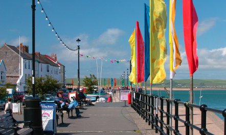 3 Bed in Appledore 9