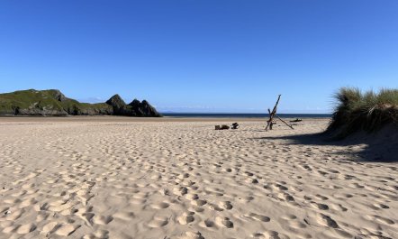 2 Bed in Bishopston 3