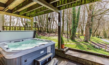 3 Bed in Callington 1