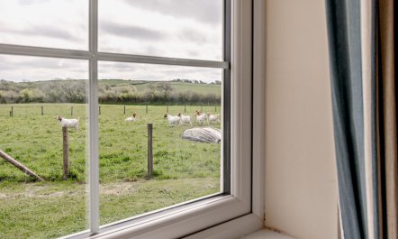 2 Bed in Red Roses 9