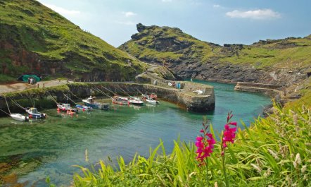 3 Bed in St. Endellion 2