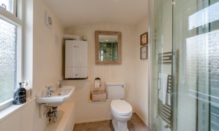 3 Bed in Appledore 9