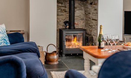 3 Bed in Golant 4