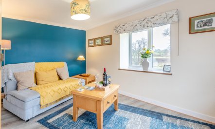 1 Bed in Drefach 9